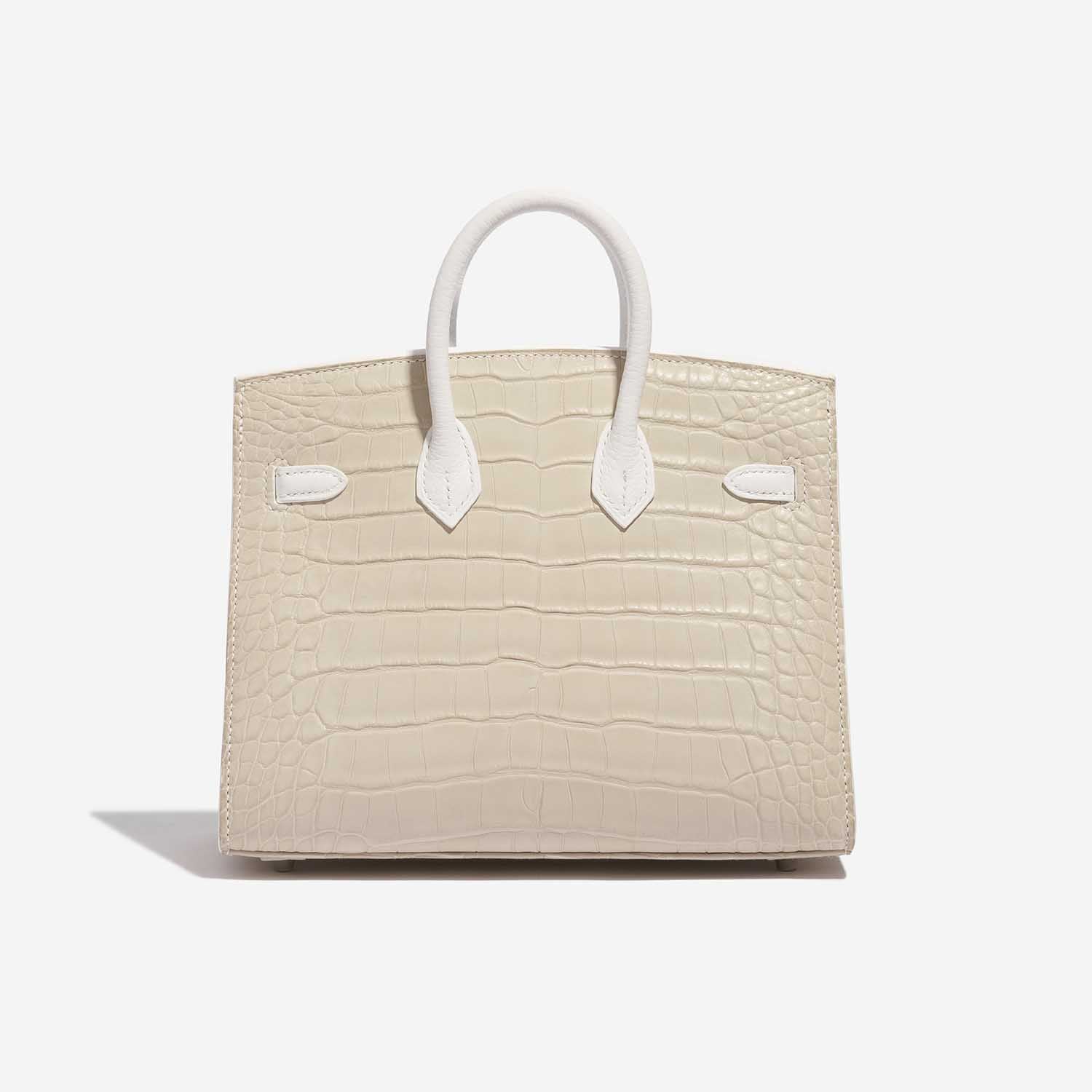 HERMÈS Birkin 20 Faubourg Alligator Mat / Togo / Epsom / Swift White / Concrete / Orange H / Mist / Chalk