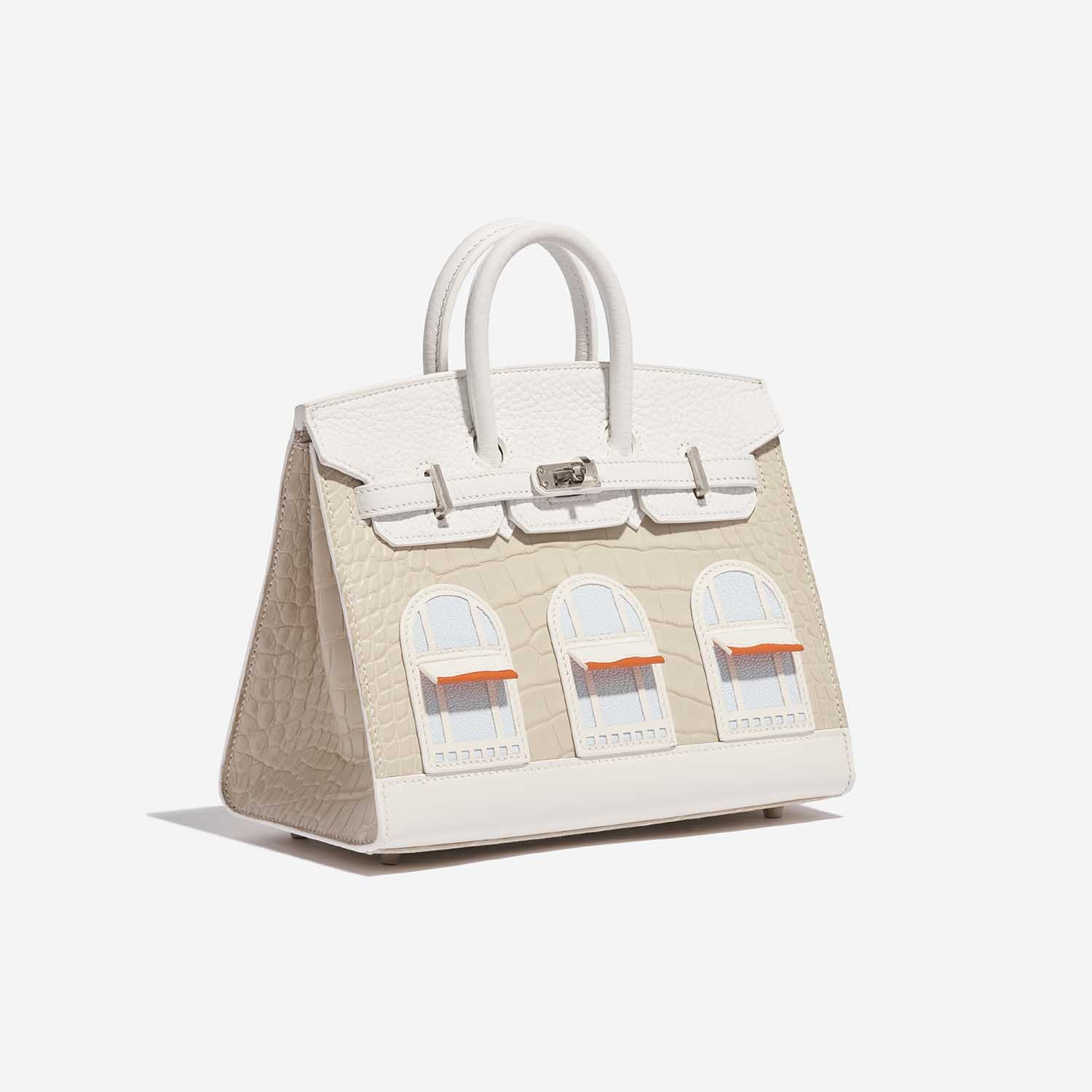 HERMÈS Birkin 20 Faubourg Alligator Mat / Togo / Epsom / Swift White / Concrete / Orange H / Mist / Chalk