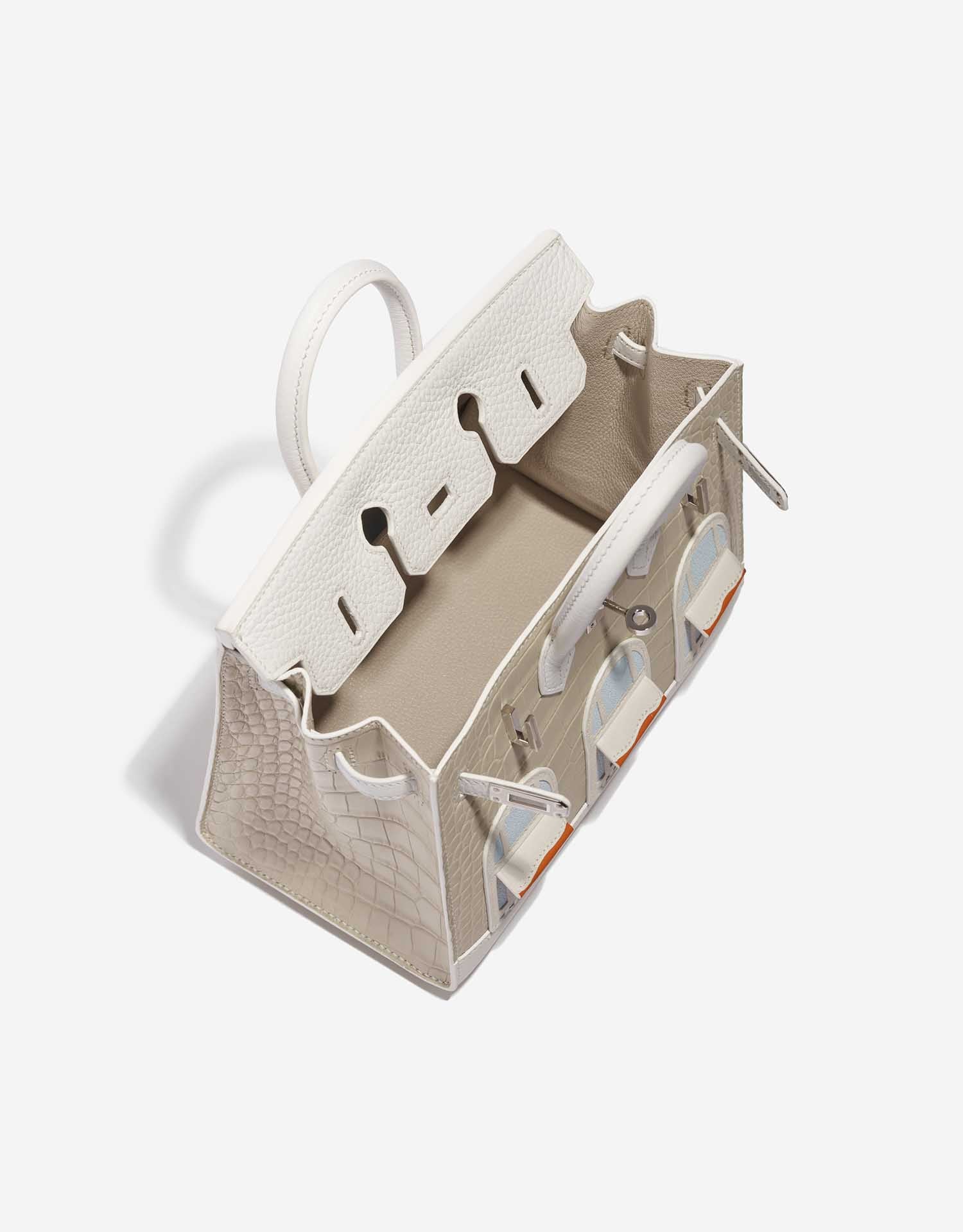 HERMÈS Birkin 20 Faubourg Alligator Mat / Togo / Epsom / Swift White / Concrete / Orange H / Mist / Chalk