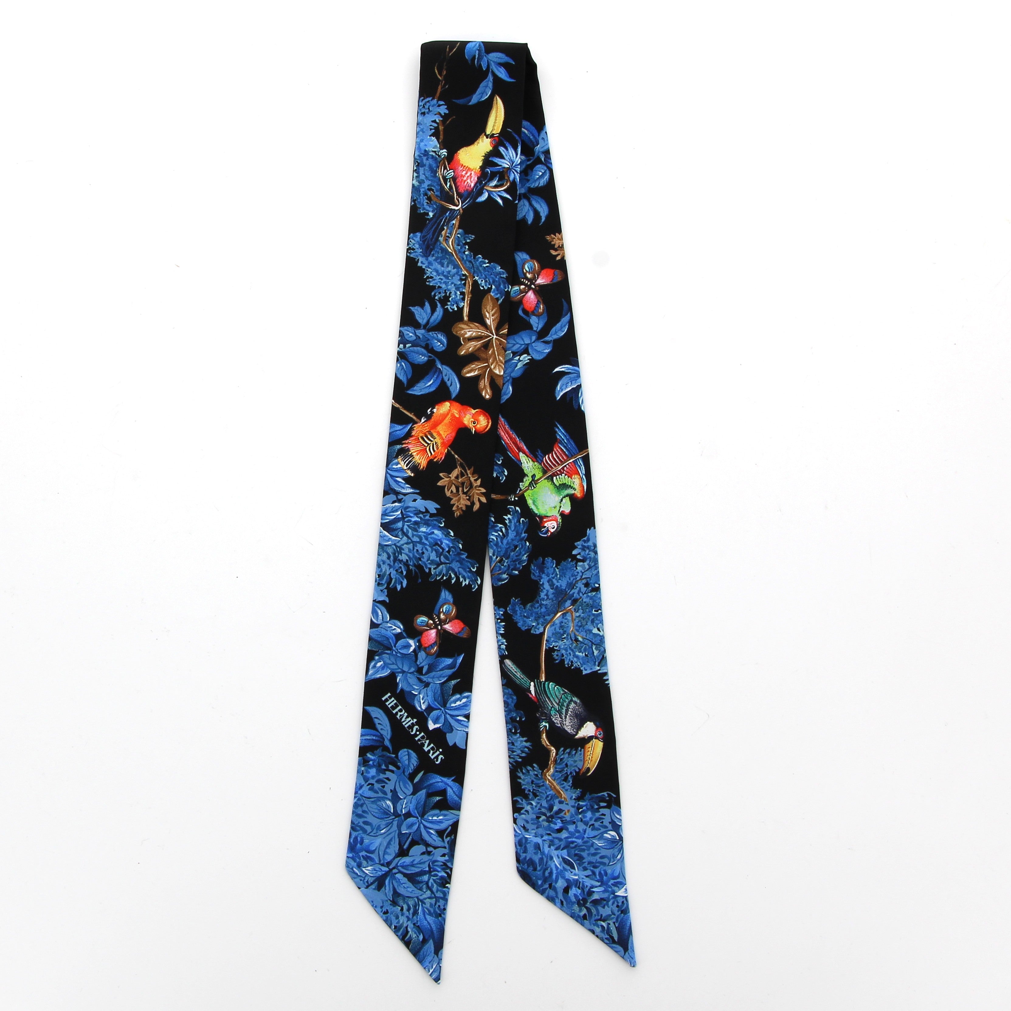 Hermes Twilly Soie Équateur As Noir Bleu Multicolore