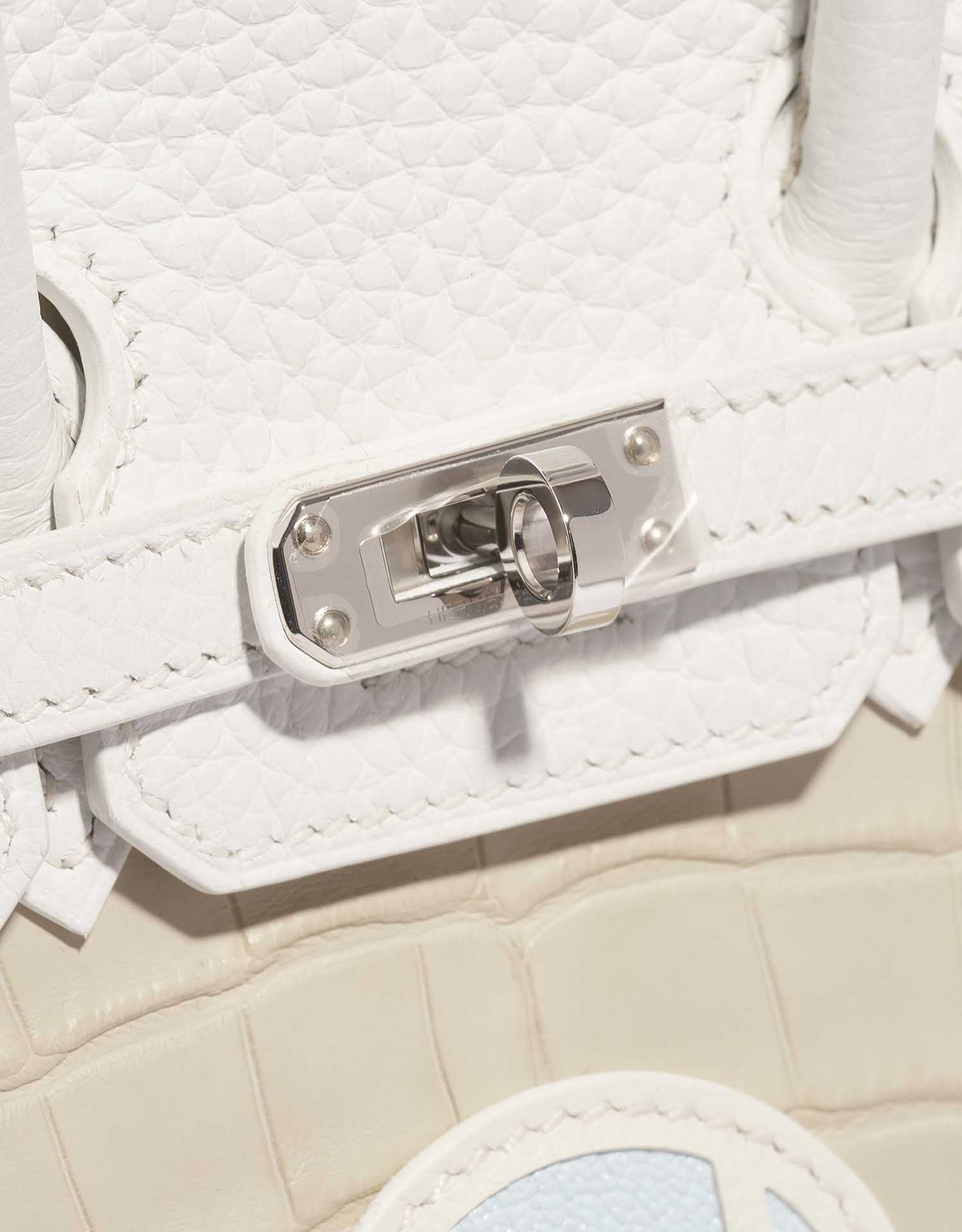 HERMÈS Birkin 20 Faubourg Alligator Mat / Togo / Epsom / Swift White / Concrete / Orange H / Mist / Chalk