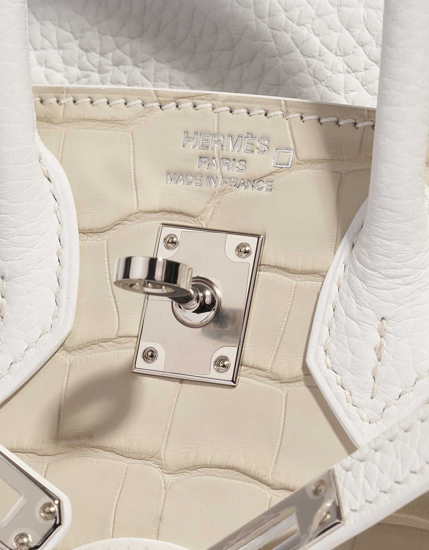 HERMÈS Birkin 20 Faubourg Alligator Mat / Togo / Epsom / Swift White / Concrete / Orange H / Mist / Chalk
